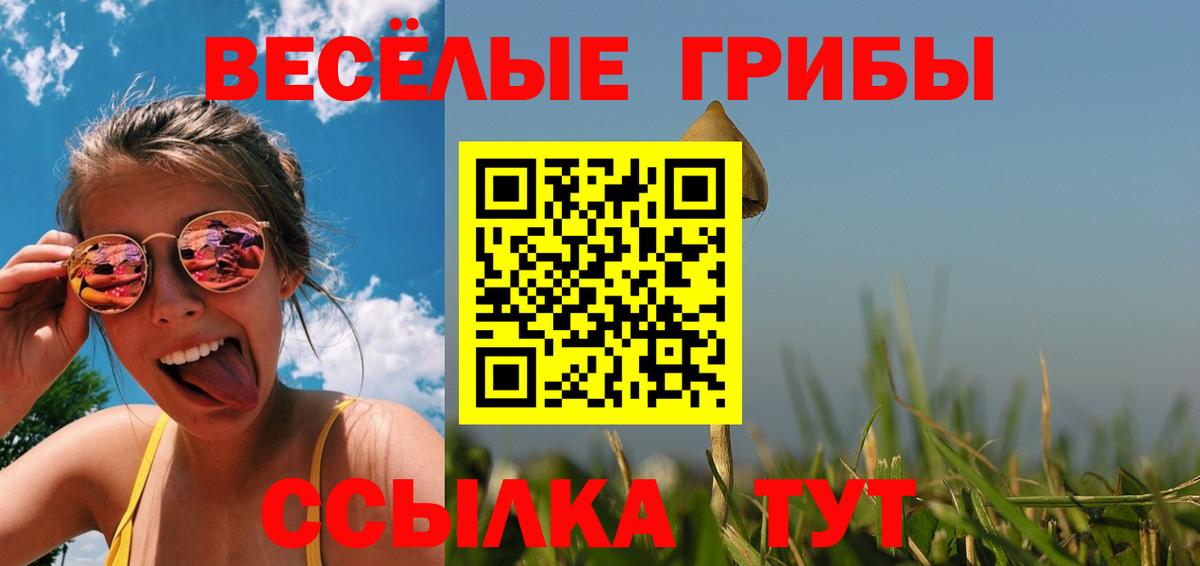 Псилоцибиновые грибы Cubensis Волхов